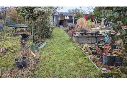 Großer Pachtgarten in Nohra (bei Weimar) - Erfurt Gispersleben