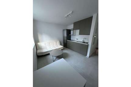 Wohnung zum Mieten in Kelsterbach 1.050,00 € 32 m²