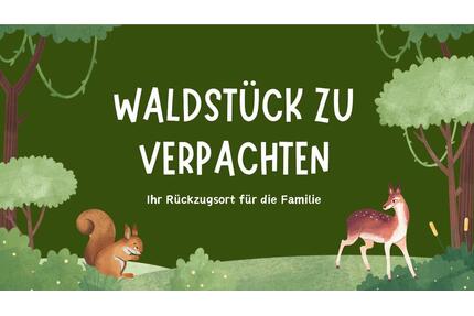 Schönes Wald-Freizeitgrundstück bei Reundorf (Lif.) zu verpachten - Lichtenfels