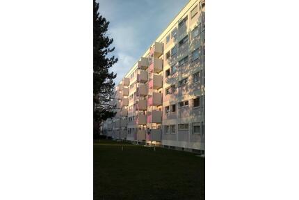 Ruhige 4-Zimmerwohnung auf Parkgrundstück mit guter Infrastruktur - München Feldmoching-Hasenbergl