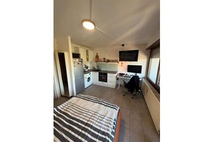 Voll möbliertes, angenehmes 1-Zimmer-Apartment in attraktiver Lag - Mannheim Niederfeld