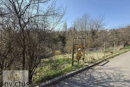 Ihr grünes Refugium in Krautheim - Natur, Ruhe und vielfältige Möglichkeiten