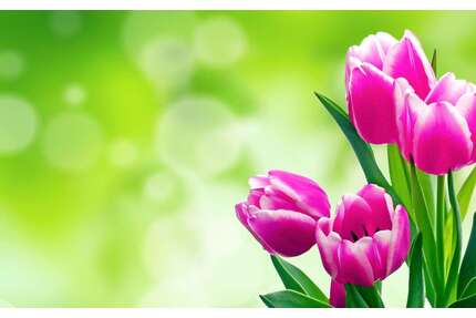 Haus zum Kaufen in Ottendorf-Okrilla 299.500,00 € 131 m²