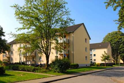 Wohnung zum Mieten in Gelsenkirchen 369,00 € 45.01 m²