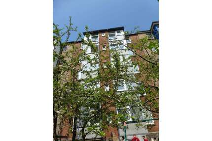 Wohnung zum Mieten in Kiel 990,00 € 50 m²