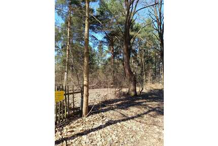 Grundstück zu verkaufen in Mittenwalde OT Töpchin 210.000,00 € 1651 m²