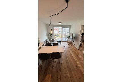 Bezugsfertige möblierte Neubauwohnung in Singen Zentrum - Singen (Hohentwiel)