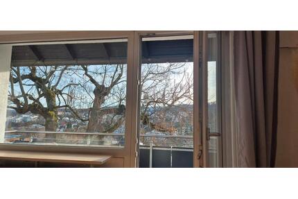1,5 Zimmer Wohnung mit großem Balkon und tollem Weitblick - Stuttgart Botnang