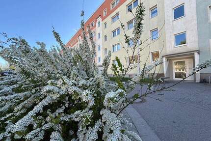 Wohnung zum Mieten in Wilkau-Haßlau 320,00 € 57.32 m²