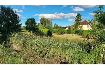 Grundstück zu verkaufen in Woldegk 21.650,00 € 866 m²