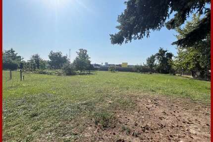Grundstück zu verkaufen in Riesa 130.000,00 € 1750 m²