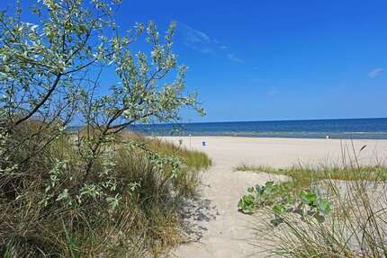 Haus zum Kaufen in Trassenheide Bannemin 1.350.000,00 € 340 m² - Trassenheide / Bannemin