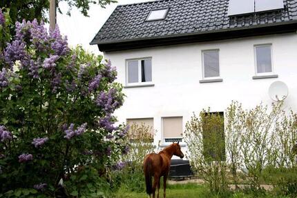 Einfamilienhaus - 85.000,00&nbsp;EUR Kaufpreis, ca.&nbsp; 85,00&nbsp;m&sup2; in Schmölln (PLZ: 04626)