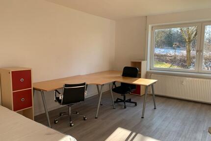 Moderne und teilmöblierte 2 Zimmerwohnung mit Internet - Clausthal-Zellerfeld
