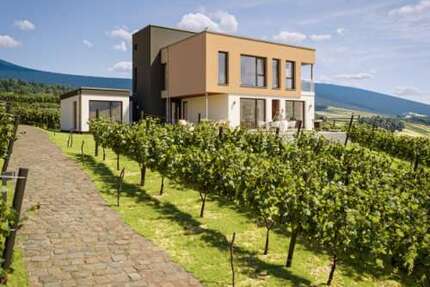 Haus zum Kaufen in Wehr 554.951,00 € 150 m²