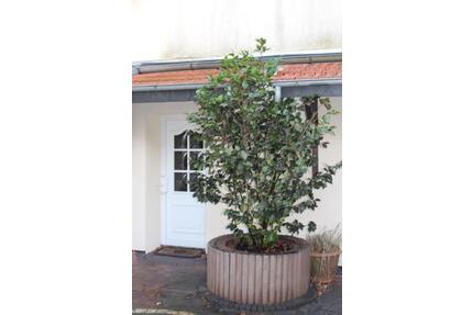 Hochwertiges Haus Wohnung in zentraler Lage von Heidmühle - Schortens