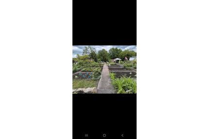 Pachtgarten abzugeben - 500,00&nbsp;EUR Kaltmiete, ca.&nbsp; 0,00&nbsp;m&sup2; in Merseburg (PLZ: 06217)