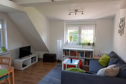 Single Wohnung - 510,00&nbsp;EUR Kaltmiete, ca.&nbsp; 42,00&nbsp;m&sup2; in Blomberg (PLZ: 26487)