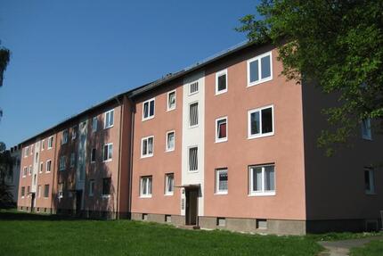 Ein tolles Wohngefühl: interessante 3-Zimmer-Wohnung in guter Wohnlage - Kassel Harleshausen