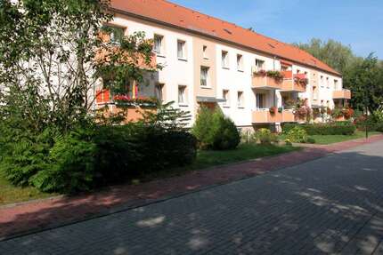 Wohnung zum Mieten in Braunsbedra 333,00 € 47.48 m²