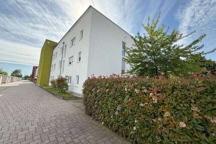 Wohnung zum Mieten in Haßloch 750,00 € 67 m²