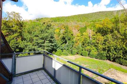 Wohnung zum Mieten in Neustadt 530,00 € 49 m²