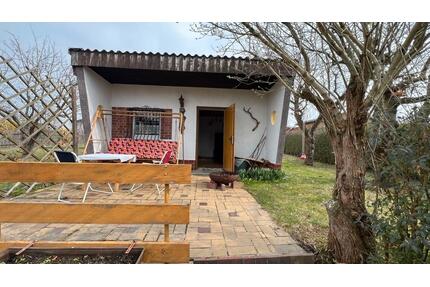 Kleingarten im KGV Parthenaue Großbardau - 598qm - - Grimma