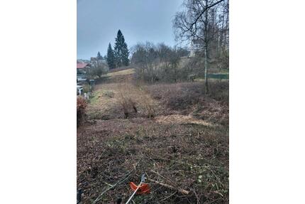 Wiesengrundstück, Grundstück, Wiese, Weide, Schmelz (Außen)