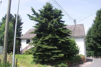 Wohnung zum Mieten in Breitenau 1.150,00 € 284 m²