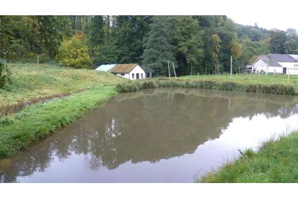 Traumhafte ruhige Alleinlage mit Teichen - Kirf