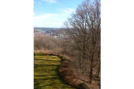 Wohnen mit Urlaubsfeeling und wunderschönem Ausblick auf den Main - Wertheim