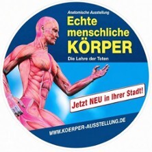 Ausstellung ECHTE KÖRPER in Mainz