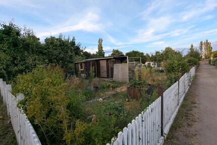 RESERVIERT Garten Pachtgarten KGV Kleingarten - Leipzig Altwest
