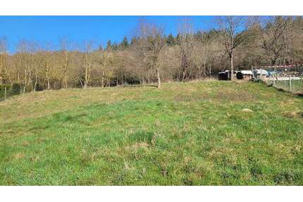 Grundstück zu verkaufen in Heimweiler 59.000,00 € 1200 m²