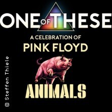 One Of These – A celebration of Pink Floyd / Animals-Tour 2026