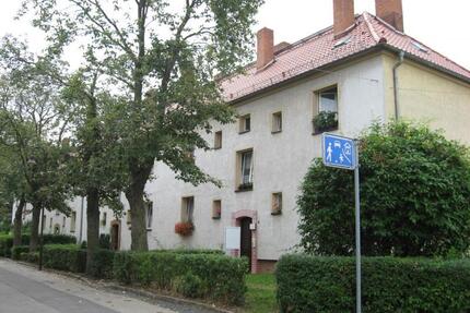 Kleine Wohlfühl-Wohnung im Erdgeschoss im beliebten Siedlungsgebiet im Finkenweg 9 - Naumburg (Saale)