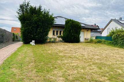 Haus zum Mieten in Grossniedesheim 1.500,00 € 144 m²