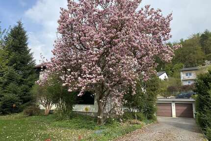Haus zum Kaufen in Pettendorf 675.000,00 € 216 m²