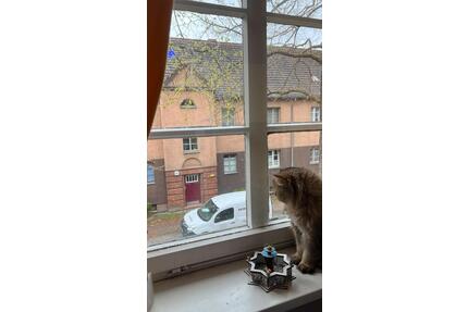 Gemütliches möbliertes Zimmer in Neukölln - Berlin