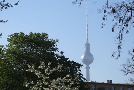 Provisionsfrei* Sunny 3-room-Apartment Prenzlauer Berg-refurbished&vacant-nearby S-Bahn-Ring - no commission - Berlin