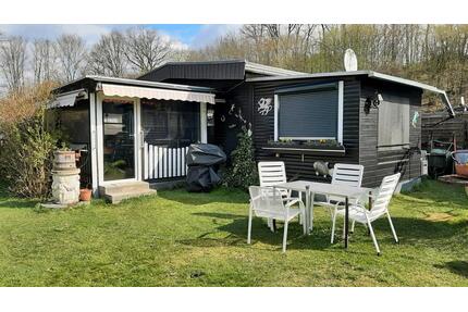 wegen Umzug in den Schwarzwald abzugeben - Datzeroth