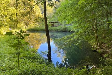 Beteiligung an Nutzungsgemeinschaft: Wald mit Quellwasser-Teich - Köln Ehrenfeld
