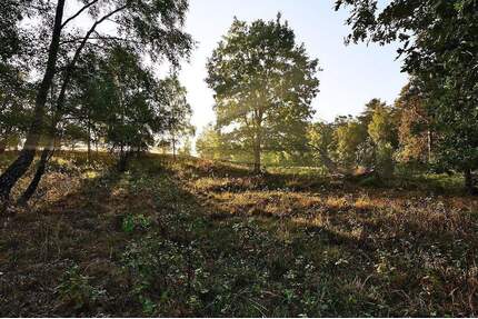 Naturnah an der Dresdner Heide leben mit Balkon & Tageslichtbad! - Radeberg Ullersdorf