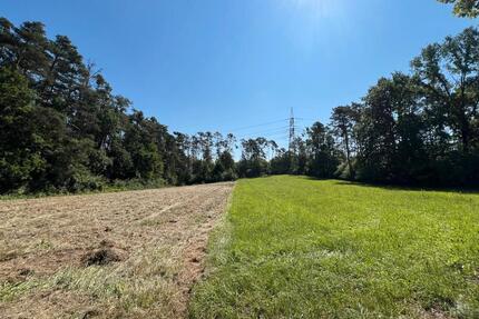 Ruhiges traumhaftes Freizeitgrundstück Wiese mit Wald (optional) - Forchheim