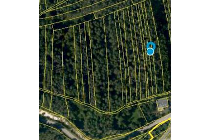 Waldstück Drosendorf 1.260m² auf der Langen Meile - Eggolsheim