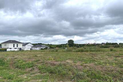 Grundstück zu verkaufen in Hillesheim 154.660,00 € 407 m²