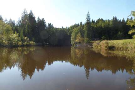 Grundstück zu verkaufen in Dießen 250.000,00 € 17680 m²