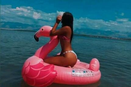 Villa Stella 2 Apartments auf der Insel Vir bei Zadar - Köln Rodenkirchen