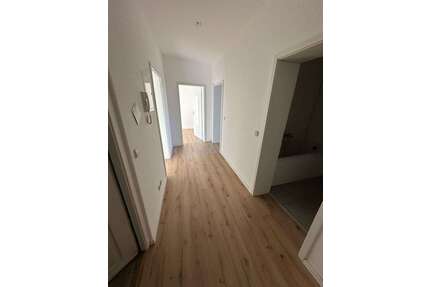 Wohnung zum Mieten in Chemnitz 289,00 € 57.57 m²