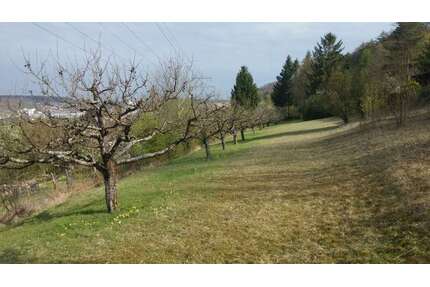 Grundstück zu verkaufen in Herbrechtingen 60.000,00 € 1500 m²